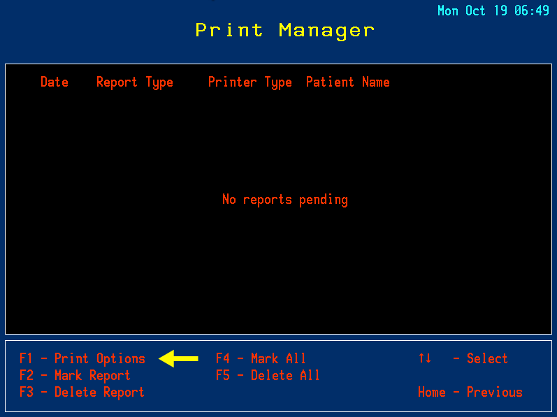 2 - Print Manager - Print Options