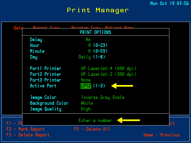 5 - Print Options - Active Port